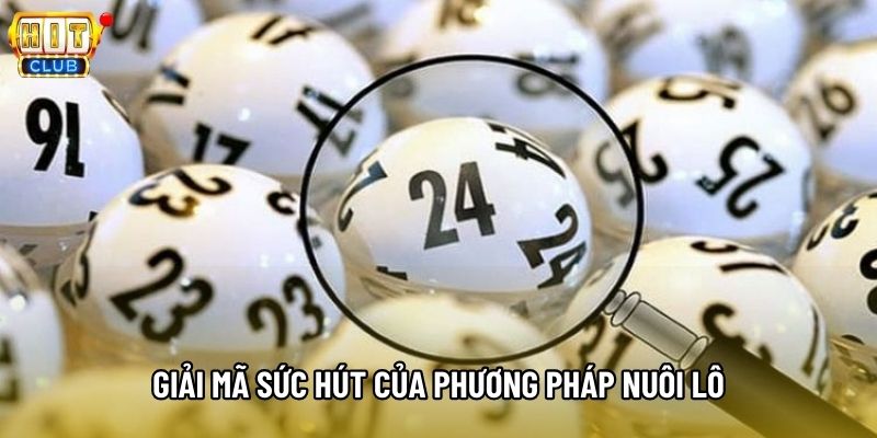 Giải mã sức hút của phương pháp nuôi lô