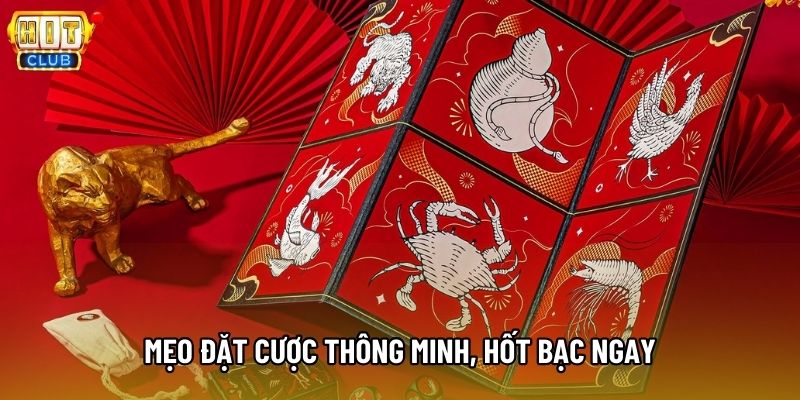 Mẹo đặt cược thông minh, hốt bạc ngay
