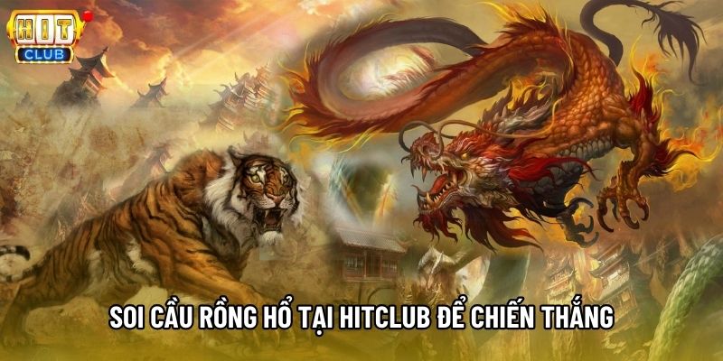 Soi cầu rồng hổ tại Hitclub để chiến thắng